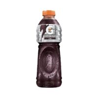 isotonico-gatorade-uva